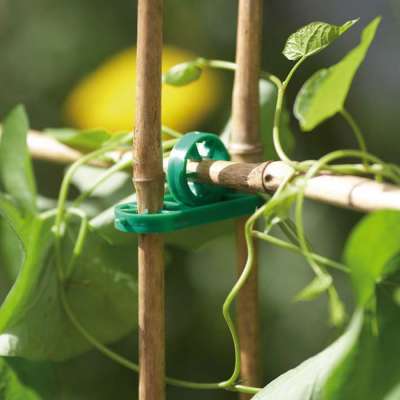 Garden plant holder accessory